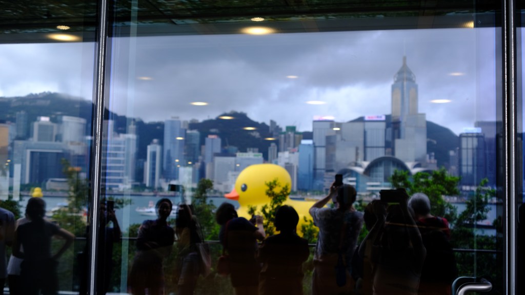 DOUBLE DUCKS DOUBLE&nbsp;LUCK